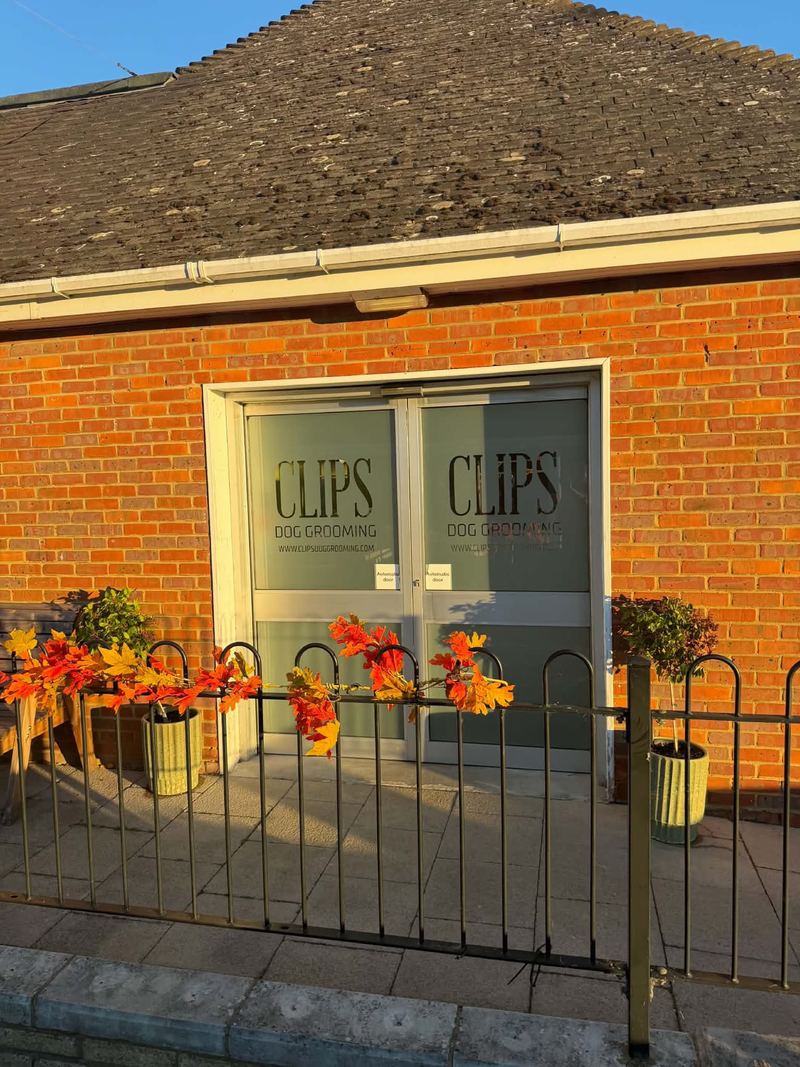 Glass double doors marked Clips Dog Grooming, behind a low black railing