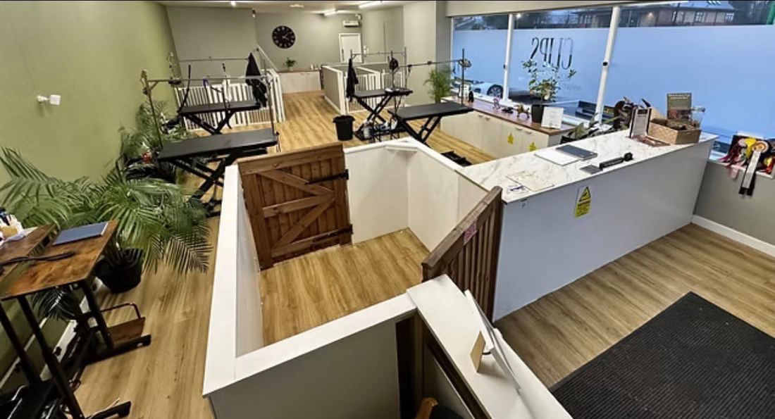 Bright grooming room with wooden floors, grooming tables and a reception counter
